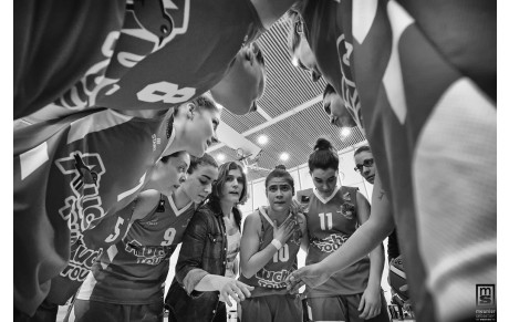 CEST  NF3   CE SERA  LA POULE  C  !!!